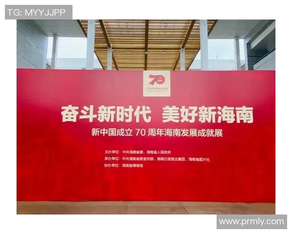 韩国足球明星卢的辉煌历程与未来展望解析